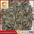 Healthy and Delicious Sunflower Seeds